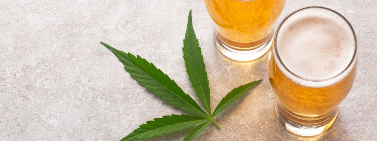 A glass of beer next to a cannabis leaf.