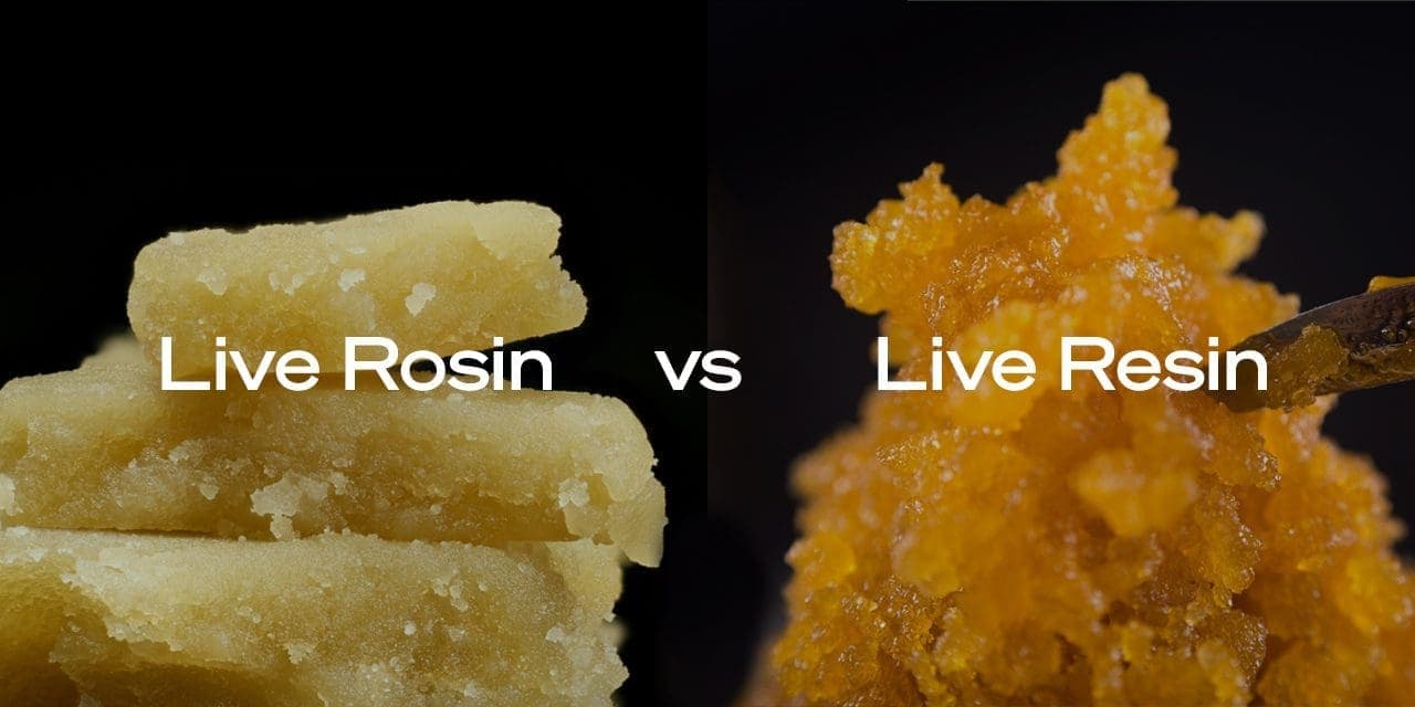 live rosin and live resin